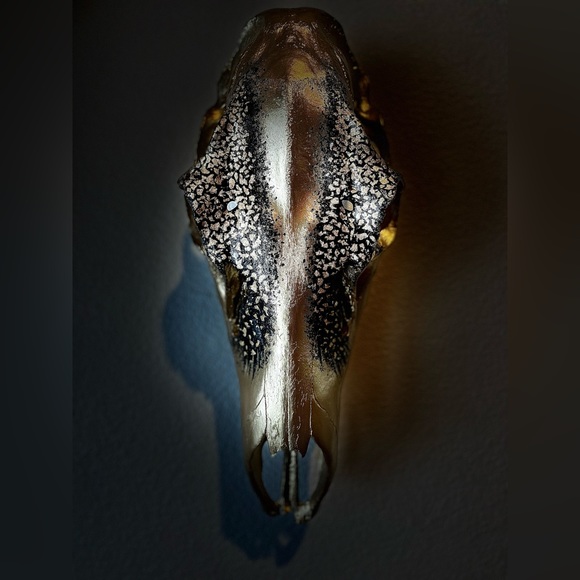 💀✨ hand painted cow elk skull - Picture 2 of 7